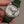 Day-Date 36 1803 18k White Gold No-Lume Dial - Stories of time 