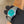 CZAPEK ANTARCTIQUE