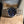 Breitling Chronomat 32 A77310 - Blue Dial - Full Set (2019)