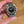 CWC Watch 1980 Royal Navy Automatic Reissue 1980 RN Auto Reissue Black Dial Full Set (2022)