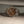 Girard-Perregaux Laureato 38mm 81005-11-3154-1CM - Copper