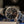 Grand Seiko SBGY009 – Omiwatari Limited Edition – Full Set (2022)