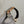 IWC Watch Portugieser Chronograph IW371482 - Rose Gold Grey Dial - Full Set - 2013