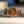 Omega Chronograph CK2277-1 – Tropical Dial – 1940’s