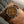 Omega Chronograph CK2277-1 – Tropical Dial – 1940’s