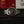 Omega Watch Speedmaster Moonwatch Professional 310.30.42.50.01.002 - Sapphire - Full Set with Receipt - 2023