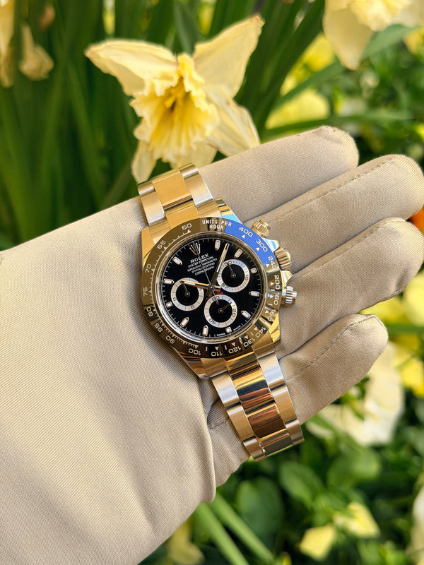 Rolex Watch Cosmograph Daytona 116500LN - Black Dial - Full Set - 2023
