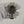 Rolex Watch Cosmograph Daytona 116500LN - Black Dial - Full Set - 2023
