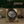 Rolex Cosmograph Daytona 116500LN - White Dial - Full Set (2022)