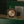 Rolex Watch Cosmograph Daytona 116515LN - Sundust Baguette Diamond Dial - Full Set (2018)