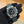 Rolex Watch Cosmograph Daytona 116519LN - White Gold - Black Diamond Dial - Oysterflex - Box & Card (2020)