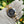 Rolex Cosmograph Daytona 126500LN - Black Dial - Full Set (2025)