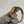 Rolex Watch Cosmograph Daytona 16518 - White Arabic Dial - Zenith - Watch Only (1994)