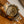Rolex Watch Cosmograph Daytona 16523 - Zenith Inverted 6 Champagne Dial - Watch Only (1990)