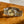 Rolex Watch Datejust 31 6827/3 - Two-Tone Champagne Dial - Watch Only - ca 1981