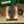 Rolex Datejust 36 126234 – Wimbledon Dial – Full Set (2023)