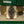 Rolex Datejust 36 126234 – Wimbledon Dial – Full Set (2024)