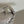 Rolex Watch Datejust 36 126234 - Wimbledon Dial - Full Set (2026)