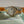 Rolex Watch Datejust 36 16233 - Ivory Pyramid Dial - Papers Only - 1991