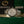 Rolex Watch Datejust 41 126334 - White Dial - Full Set - 2022