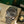 Rolex Watch Datejust 41 126334 - Wimbledon - Full Set - 2023