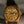 Rolex Day-Date 1803 - Sigma Linen Dial (ca. 1973)