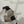 Rolex Watch Day-Date 1803 - Yellow Gold - Matte Blue Dial - Watch Only - ca. 1973