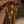 Rolex Day-Date 18038 – Champagne Dial (ca. 1986)