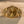 Rolex Day-Date 18038 – Champagne Dial (ca. 1986)