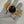 Rolex Watch Day-Date 18038 - Yellow Gold - Blue Jubilee Dial - Watch Only (1979)
