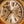 Rolex Watch Day-Date 1807 - Qaboos Dial - Bark Finish - Watch Only (1973)