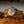 Rolex Watch Day-Date 1807 - Qaboos Dial - Bark Finish - Watch Only (1973)