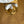 Rolex Watch Day-Date 1807 - Qaboos Dial - Bark Finish - Watch Only (1973)