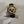 Rolex Watch Daytona 116518LN - Pikachu - Full Set - 2018