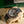 Rolex Daytona 116519LN - Ghost Dial - Full Set (2020)
