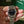 Rolex Explorer 114270 - Black Dial - Full Set (ca 2008)