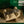 Rolex Explorer 39 214270 – Full Set (2017)