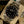 Rolex Explorer 40 224270 – Full Set (2023)