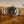 Rolex Watch Explorer 6610 - Gilt Tropical Dial - Watch Only - ca. 1958