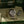 Rolex Explorer II 16570 - New Old Stock - Box & Papers (2007)