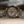 Rolex Explorer II 16570 - Polar Dial - New Old Stock (ca. 2001)