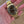 Rolex Watch GMT-Master 1675/8 - Brown Nipple Dial - Yellow Gold - ca. 1970