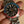 Rolex GMT-Master 1675 – Pepsi Bezel – MK5 Dial (ca. 1972)