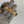 Rolex Watch GMT-Master II 116713LN - New Old Stock with Crazy Patina - Full Set - 2014