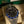 Rolex GMT-Master II 126710BLNR – 