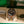 Rolex GMT-Master II 126711CHNR - Root Beer - Full Set (2023)