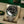 Rolex Watch GMT-Master II 126720VTNR Sprite - Jubilee - Unworn - Full Set - 2024