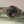 Rolex Watch GMT-Master II 16710 - Coke - With Papers (2000)
