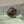 Rolex GMT-Master II 16710 - Pepsi Bezel - With Papers (2001)