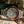 Rolex Watch GMT-Master II 16760 Fat Lady - Coke - Full Set - 1984